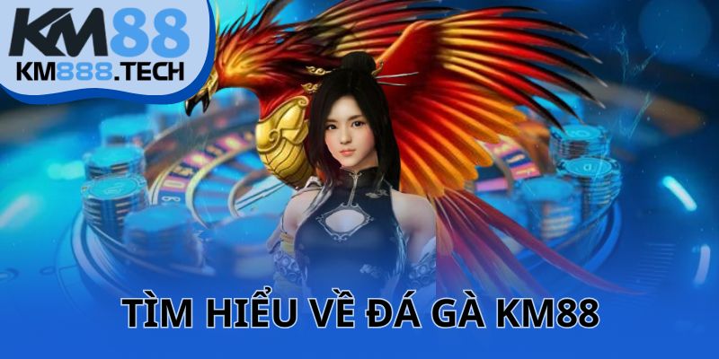 da-ga-km88-tim-hieu